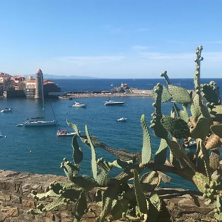 Saphir De Apartamento Collioure